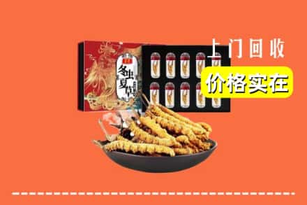 阿勒泰地区回收冬虫夏草